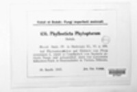 Phyllosticta phytoptorum image
